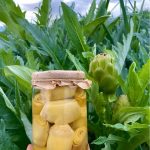 Kalp Enginar Konservesi (660 cc) – Sakız Cinsi Kılçıksız